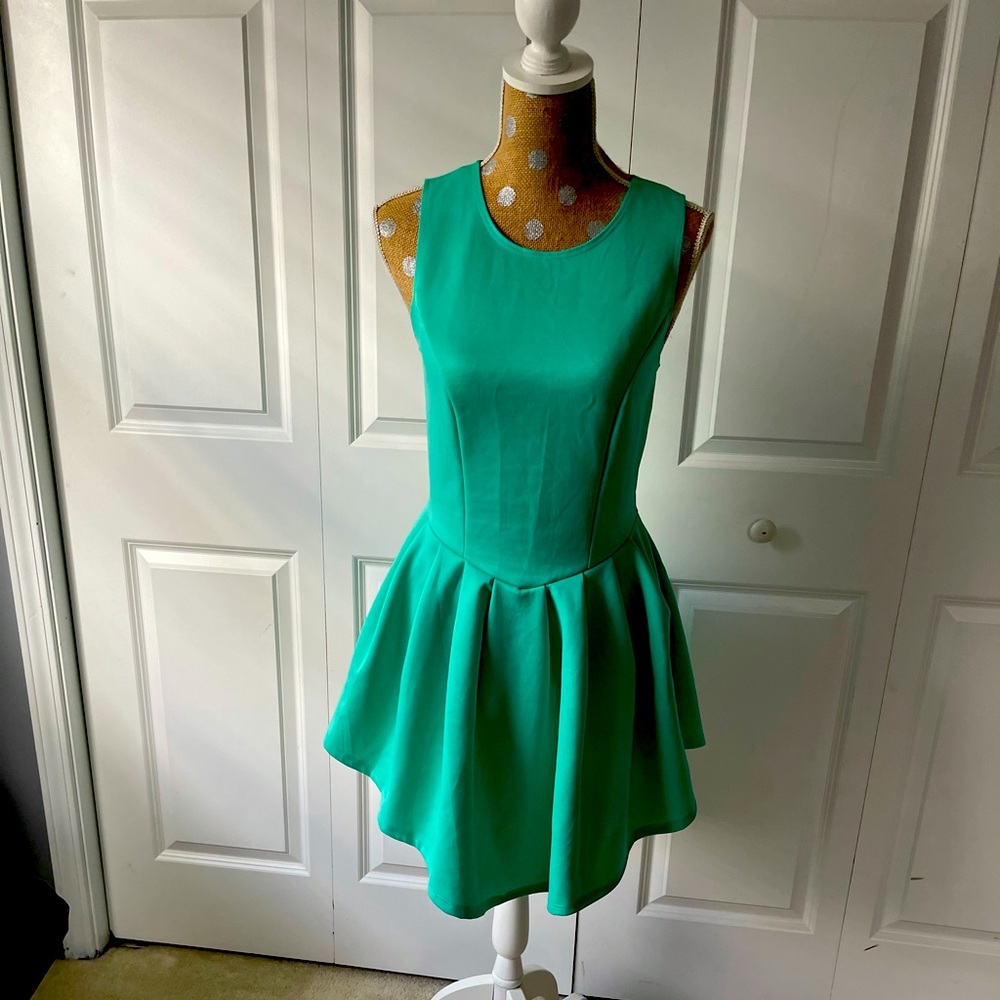 Never Worn Dress